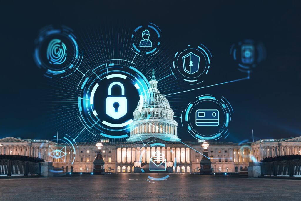 Large Federal System Integrator