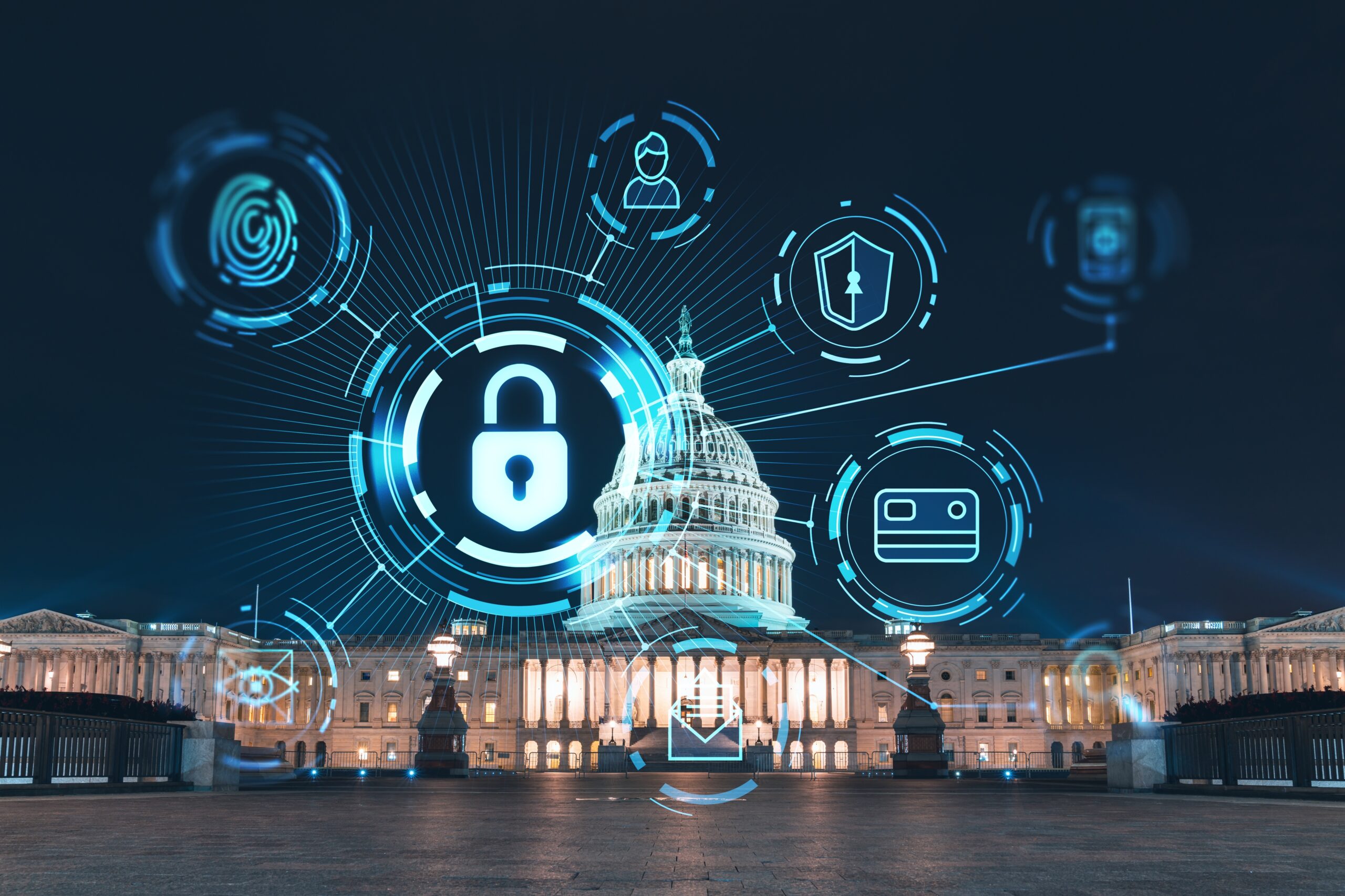 Large Federal System Integrator