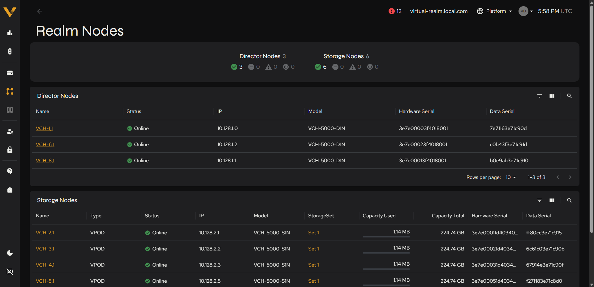 Realm Nodes page displaying both the Director Nodes and Storage Nodes tables