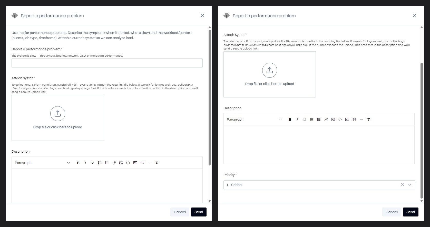 The Report a performance problem form